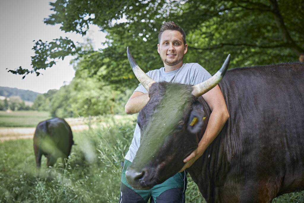 wagyu wagyurind hofstätter